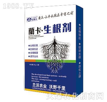 �m����������-�m���r(n��ng)�I(y��)