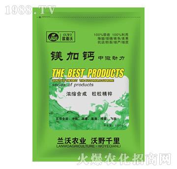 �V���}��΢����-�W�m��