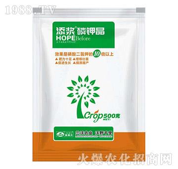 500g��⛾�-��{-