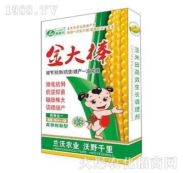 ����-�m���r(n��ng)�I(y��)