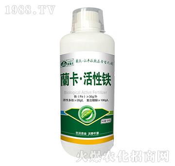 1000g�_���������F