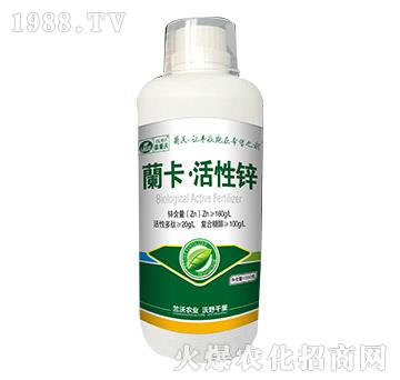 1000g�_���������\