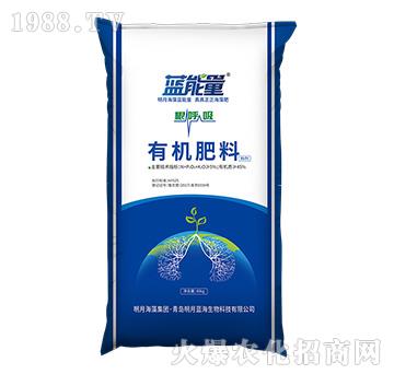 �ЙC����-������-�{(l��n)����