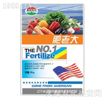 ���ϴ�-�μ�