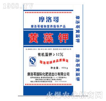 52%�S���-Ħ���-���R��