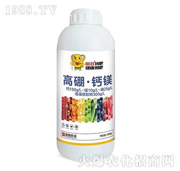 �����}�V-�A��-��ɭ