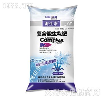 �ͺ�΢�����-�ŵ�