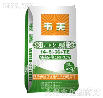 �f����⛷�14-6-36+TE-�ŵ�