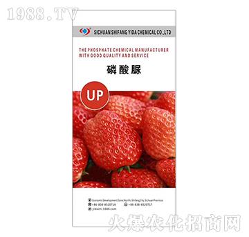 ������-�����_(d��)