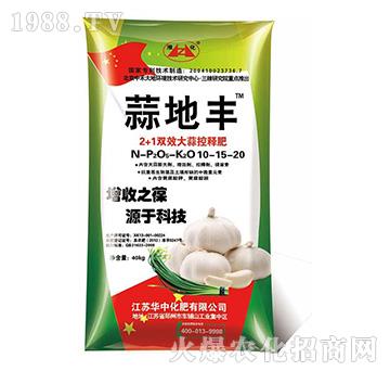 2+1�pЧ�����ጷ�-����S-�A�л���