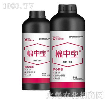 ���Ќ�-������