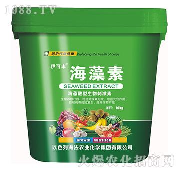 ������-����