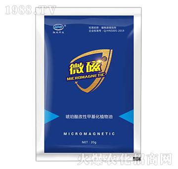 ��������Լ׻���ֲ����-΢��-�����_˹