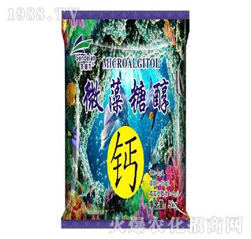 ΢���Ǵ��}-ʥ���m