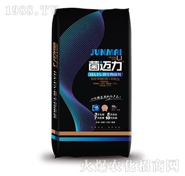 ΢�������-���~��-����̩