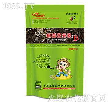 �߲ˌ�(zhu��n)��΢�������-�����I(y��ng)�B(y��ng)��B-����r(n��ng)