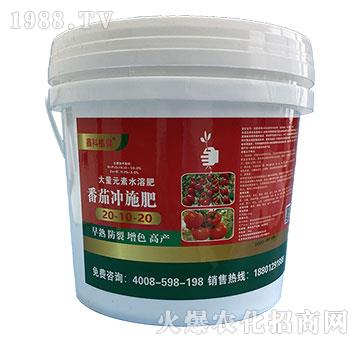 ����Ԫ��ˮ�ܷ�20-10-20-���ћ_ʩ��-�ο�ֲ��