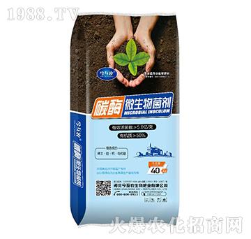 ̼ø΢�������-���r