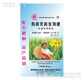 С�������ЙC�o�C�����-һ���S-����