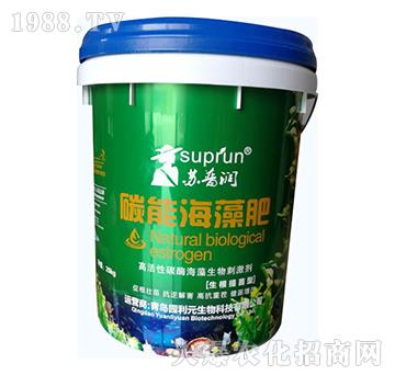 ����������-̼�ܺ����-�@��Ԫ