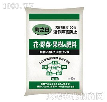 �֮����-����