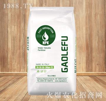 ����Ԫ��ˮ�ܷ���20-20-20+2MgO+TE-���K�r(n��ng)�Y