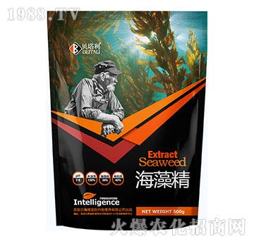 ���徫-ؐ����