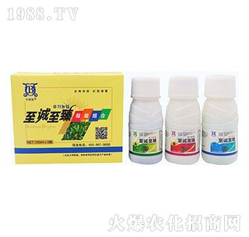 �����M��-���\����-�ۼ��S