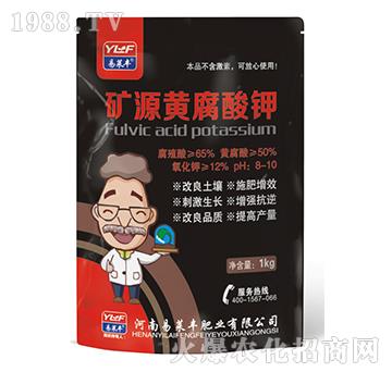 �VԴ�S�����-���R�S