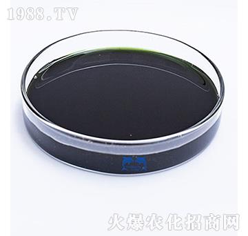 OUMIKA����Һ�w-���L�`