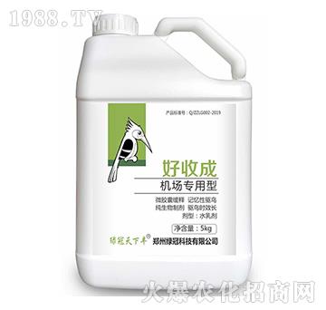 �C(j��)��������-���ճ�-�G��