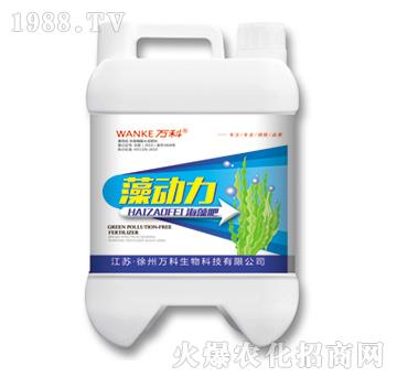 ���(d��ng)�������-�f(w��n)��