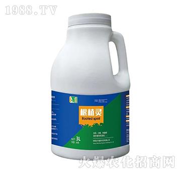 ��ֲ�`-��(sh��)��