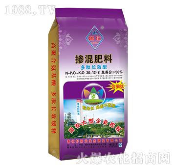 �����LЧ�͓������30-12-8-����