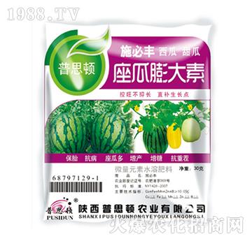 ���������-ʩ���S-��