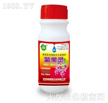 ��������ֲ�����L(zh��ng)�{(di��o)�턩