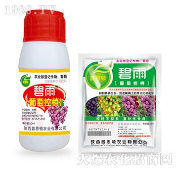 ���ѿ���-����-��˼�D