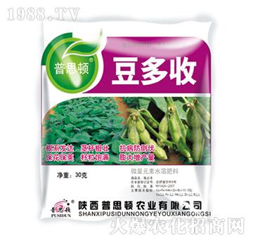 ������-��˼�D�r�I(y��)