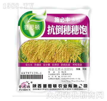 ˮ�����������-��˼�D