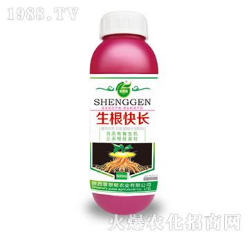 �������L(zh��ng)-��˼�D�r(n��ng)�I(y��)