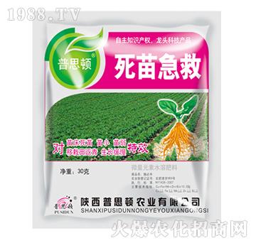 ���缱��-��˼�D�r(n��ng)�I(y��)