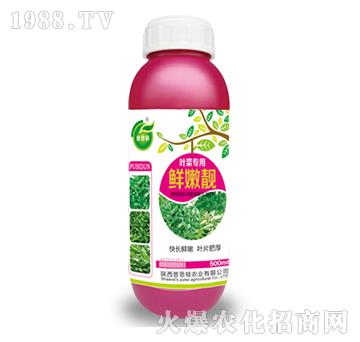 �~�ˌ����r���n-��˼�D