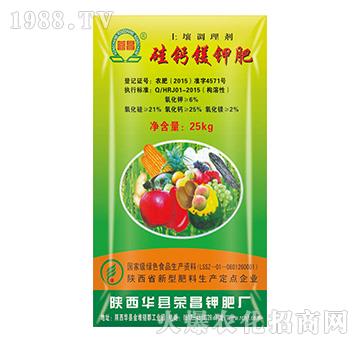 �����{�턩-���}�V⛷�-�s��