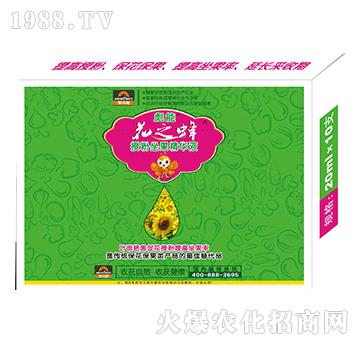 �ڷ��������AҺ-��֮��-����-����ɭ