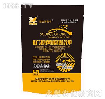 �VԴ�S�����-���������S