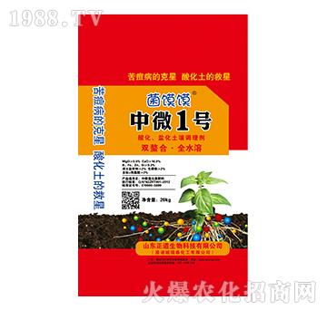 �ữ�}�A�������{�턩-��΢1̖-���x�x-��������