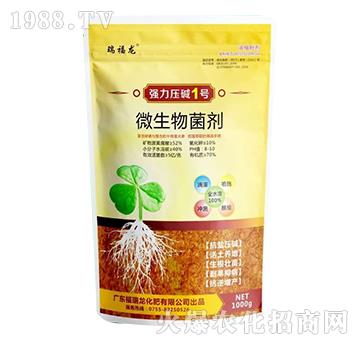 ΢�������-��(qi��ng)�����A1̖(h��o)-������