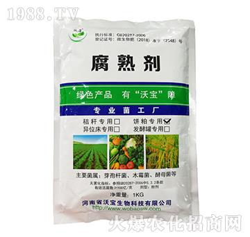 ��Ɍ��ø��섩-�֌�����