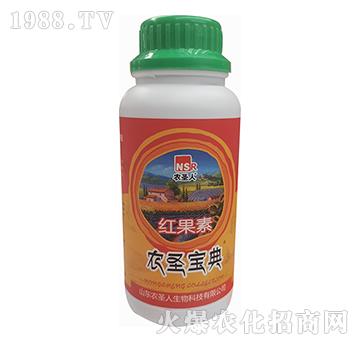 �r(n��ng)ʥ����-�t����-�r(n��ng)ʥ��