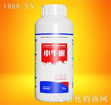 Сţ��-��(sh��)��